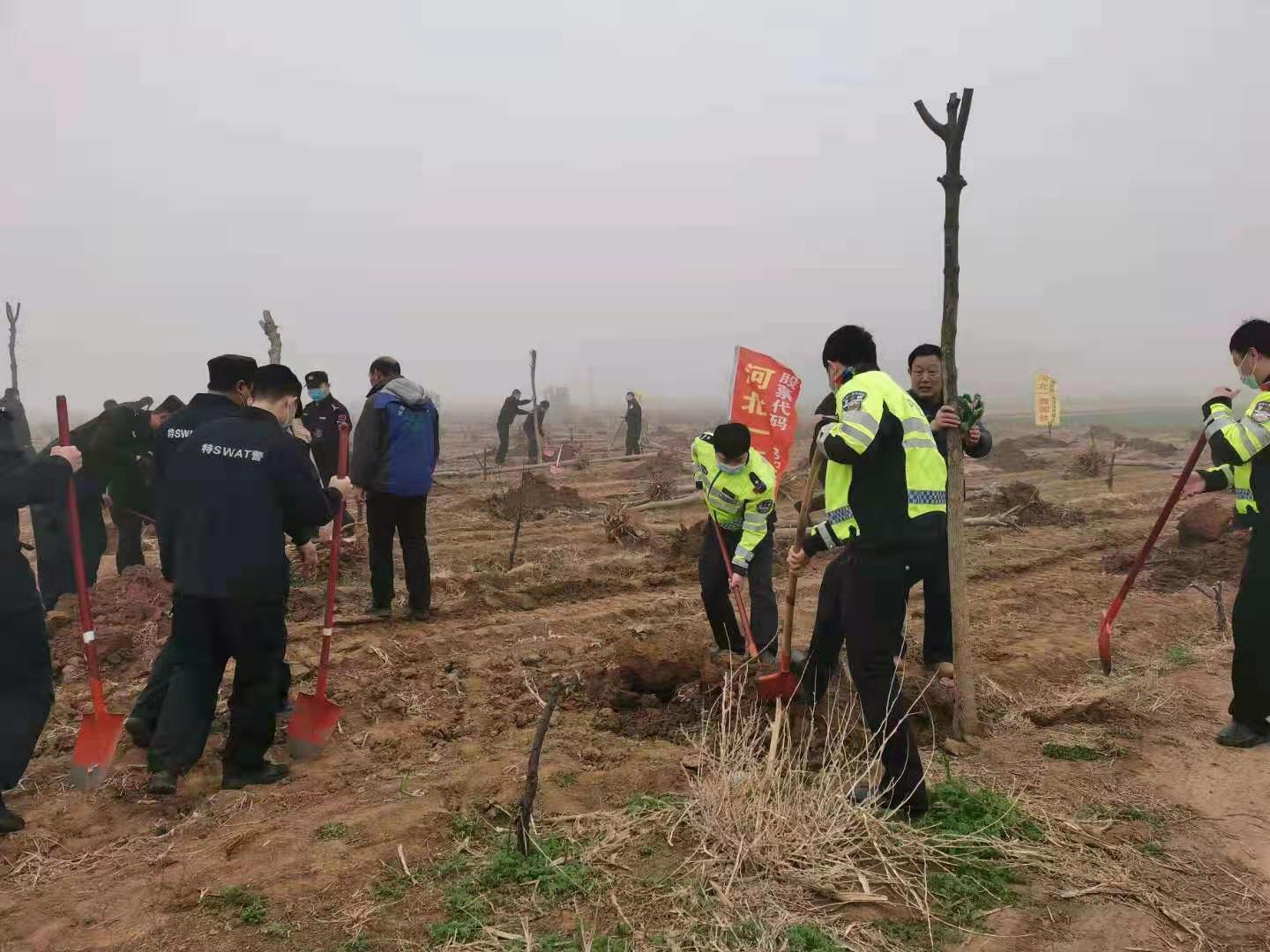 一森公司配合贊皇縣有關(guān)單位開展義務(wù)植樹活動