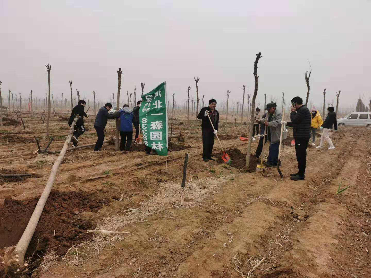一森公司配合贊皇縣有關(guān)單位開展義務(wù)植樹活動